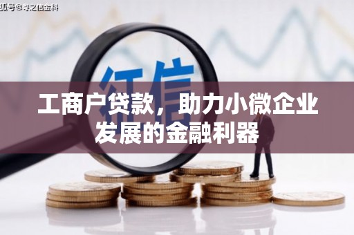 开阳工商户贷款，助力小微企业发展的金融利器