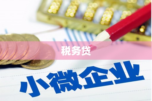 炉霍税务贷