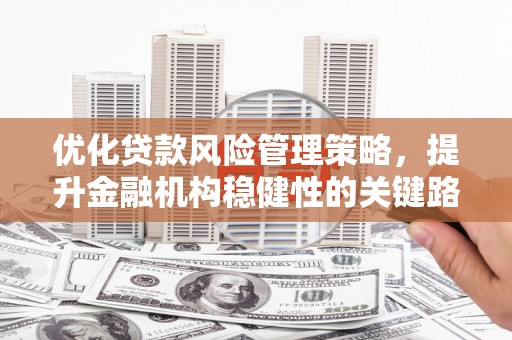 七星优化贷款风险管理策略，提升金融机构稳健性的关键路径
