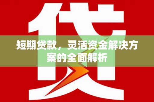 莱西短期贷款，灵活资金解决方案的全面解析