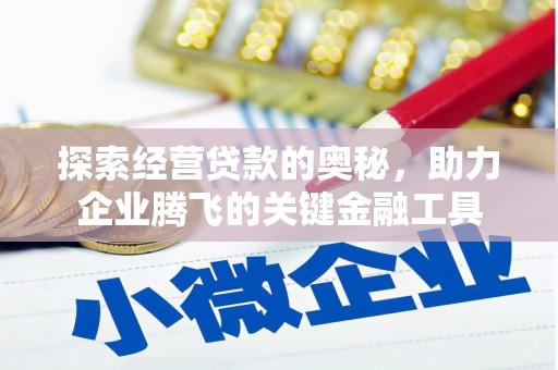 云龙探索经营贷款的奥秘，助力企业腾飞的关键金融工具