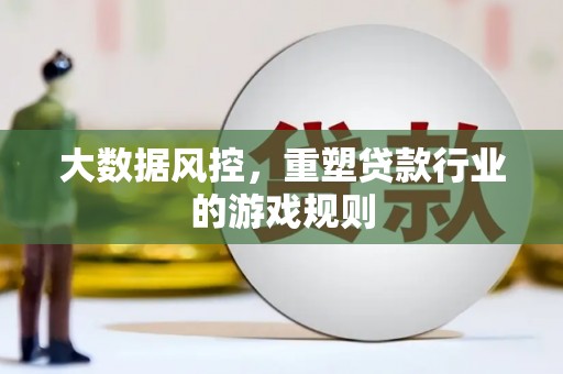 阳山大数据风控，重塑贷款行业的游戏规则
