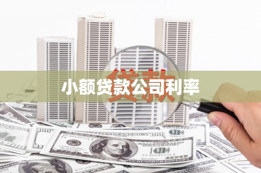 徐水小额贷款公司利率