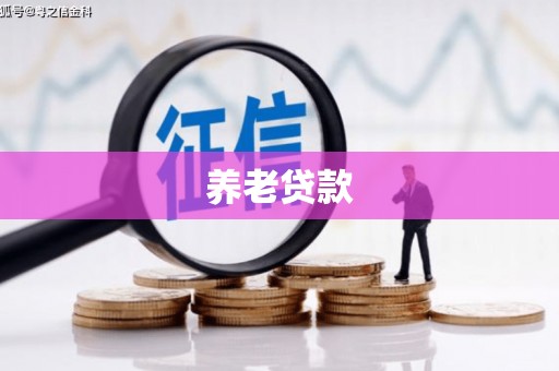 农安养老贷款