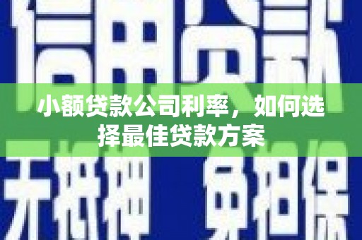 鄂伦春小额贷款公司利率，如何选择最佳贷款方案