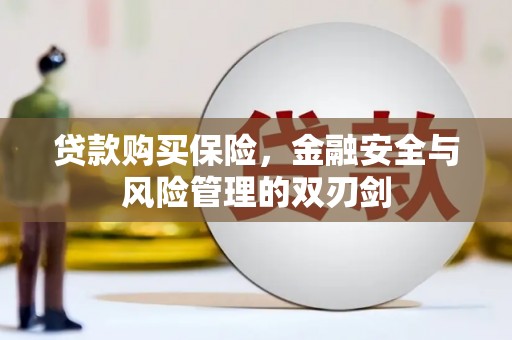 巩义贷款购买保险，金融安全与风险管理的双刃剑