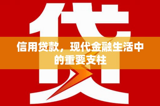 嘉禾信用贷款，现代金融生活中的重要支柱