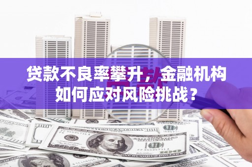 荔城贷款不良率攀升，金融机构如何应对风险挑战？