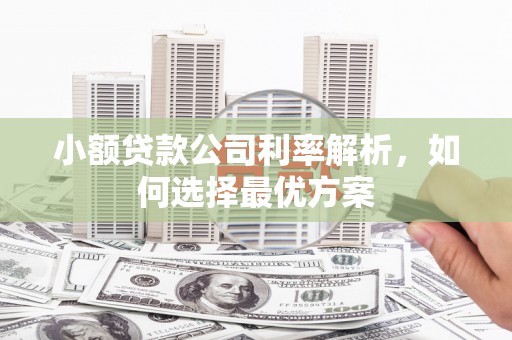 淮上小额贷款公司利率解析，如何选择最优方案