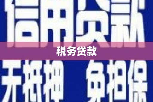 屏山税务贷款
