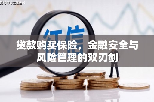 永康贷款购买保险，金融安全与风险管理的双刃剑