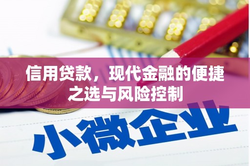 凤泉信用贷款，现代金融的便捷之选与风险控制