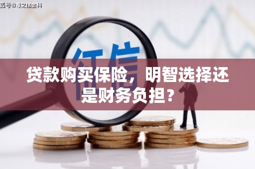 肥乡贷款购买保险，明智选择还是财务负担？