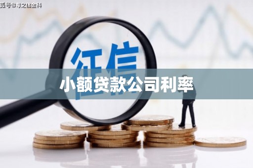庄浪小额贷款公司利率