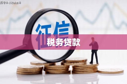 镇雄税务贷款