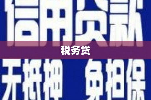 武隆税务贷