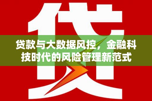 普格贷款与大数据风控，金融科技时代的风险管理新范式