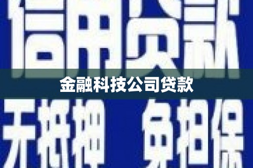 江西金融科技公司贷款