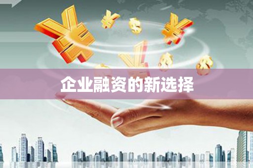 玉树企业融资的新选择