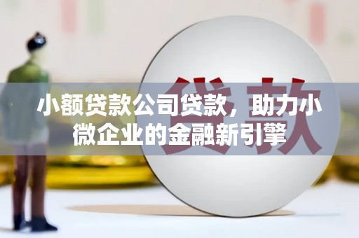 铁山小额贷款公司贷款，助力小微企业的金融新引擎