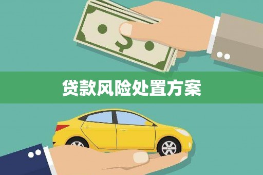 亭湖贷款风险处置方案