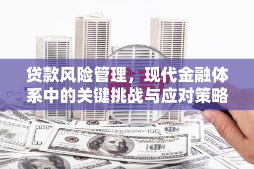 囊谦贷款风险管理，现代金融体系中的关键挑战与应对策略