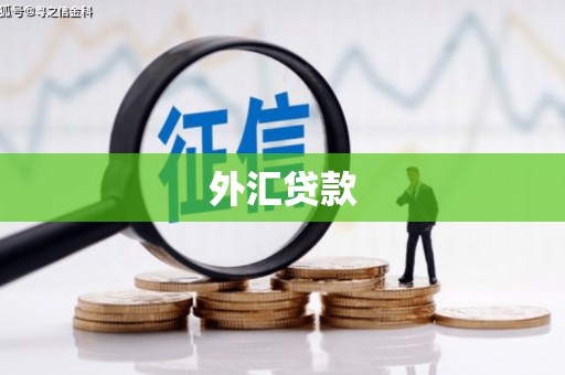 仁爱外汇贷款