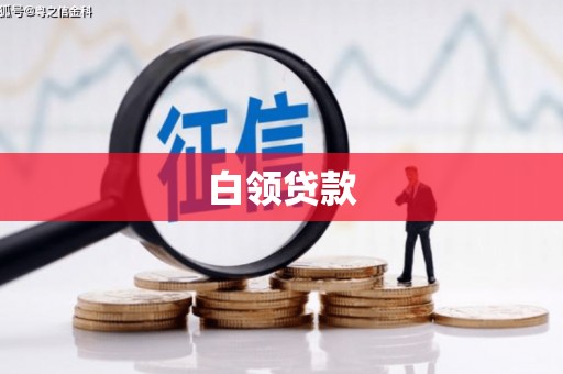 修文白领贷款