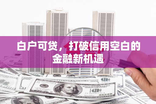 响水白户可贷，打破信用空白的金融新机遇