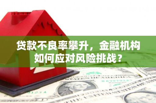 永清贷款不良率攀升，金融机构如何应对风险挑战？