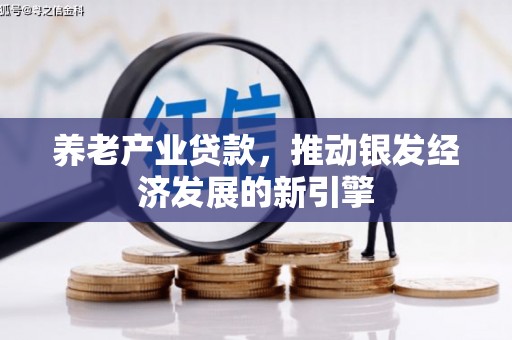 广宗养老产业贷款，推动银发经济发展的新引擎