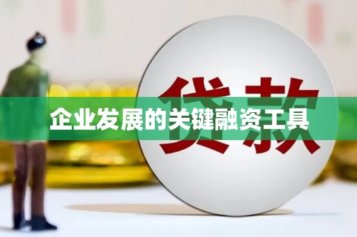 岱山企业发展的关键融资工具