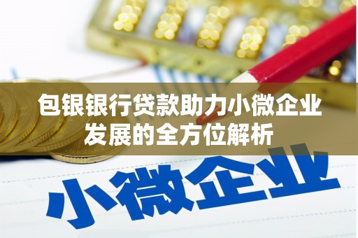 钢城包银银行贷款助力小微企业发展的全方位解析
