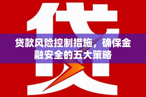 麻豆贷款风险控制措施，确保金融安全的五大策略