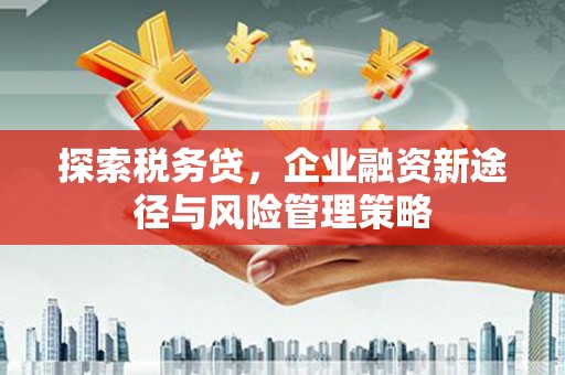 东方探索税务贷，企业融资新途径与风险管理策略