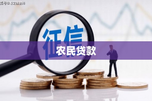 秦汉农民贷款