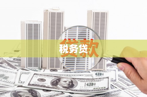 西丰税务贷