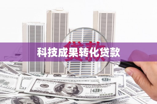普湾新区科技成果转化贷款
