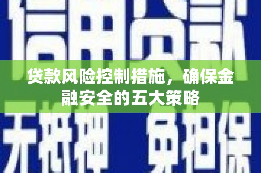 南乐贷款风险控制措施，确保金融安全的五大策略