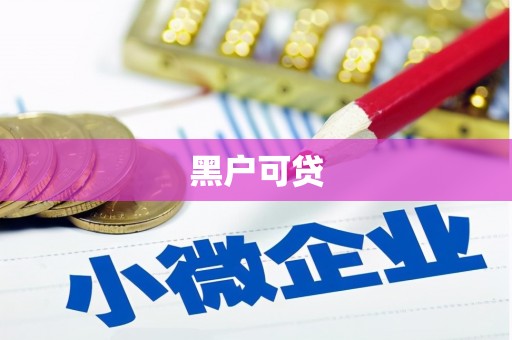 新泰黑户可贷