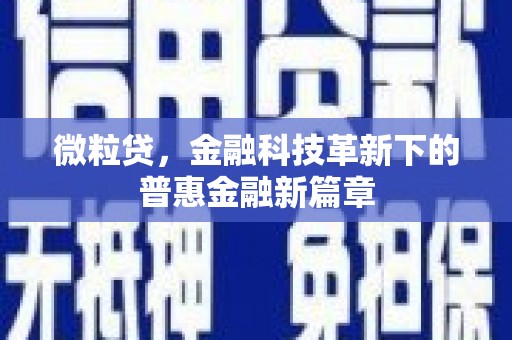 巩留微粒贷，金融科技革新下的普惠金融新篇章