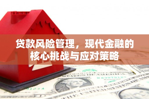 历下贷款风险管理，现代金融的核心挑战与应对策略