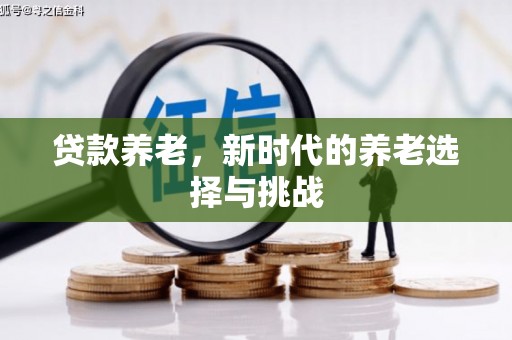 安岳贷款养老，新时代的养老选择与挑战