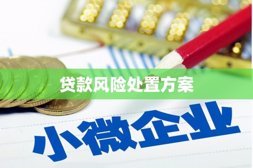 富裕贷款风险处置方案