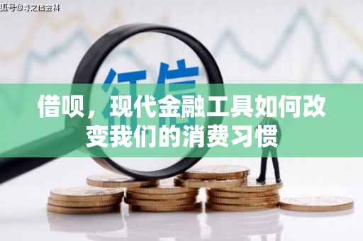 西屿借呗，现代金融工具如何改变我们的消费习惯