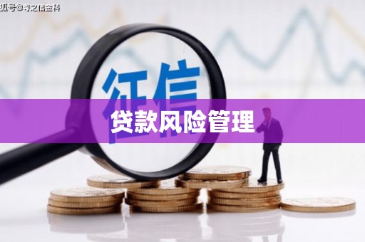 外埔贷款风险管理