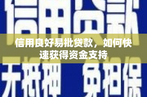 洛宁信用良好易批贷款，如何快速获得资金支持
