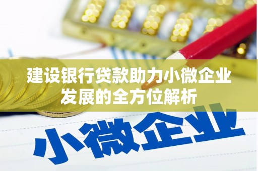 零陵建设银行贷款助力小微企业发展的全方位解析