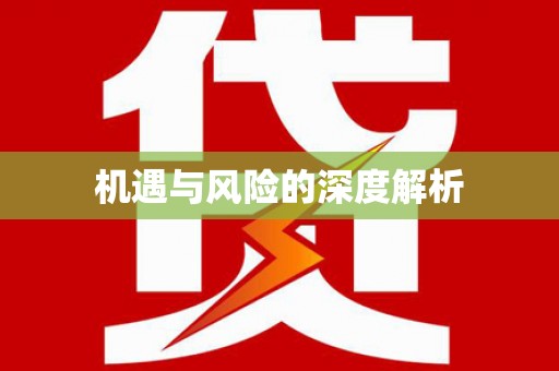 邵武机遇与风险的深度解析