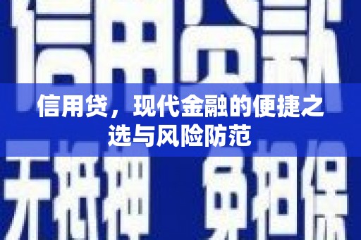 达日信用贷，现代金融的便捷之选与风险防范